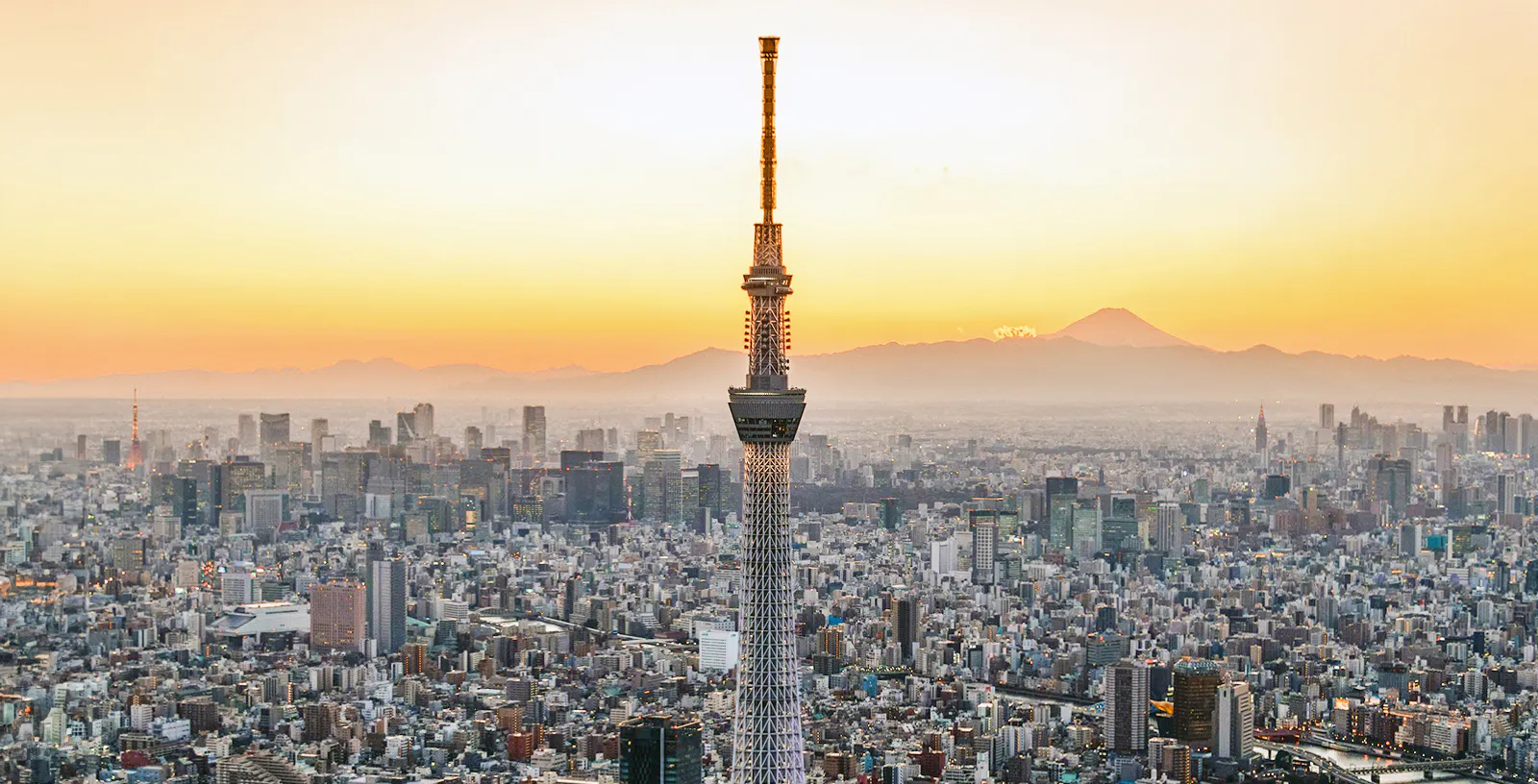 テンボ・ガレリアのチケット| 東京スカイツリーの450mのスカイウォーク